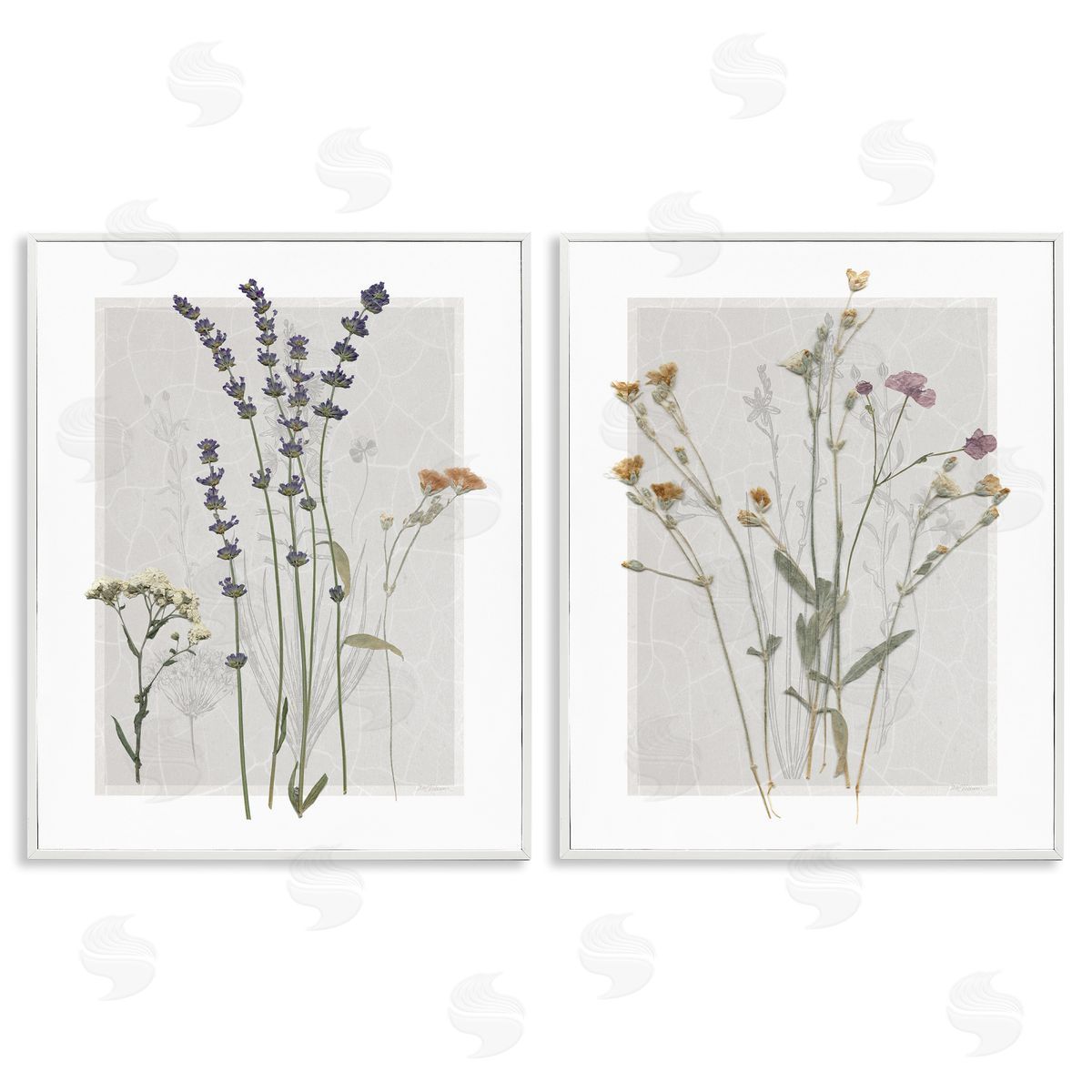 Delicate Wildflower Herb Sprigs White Frame Print Wall Art, Home Decor by Carol Robinson