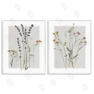 Carol Robinson | Delicate Wildflower Herb Sprigs