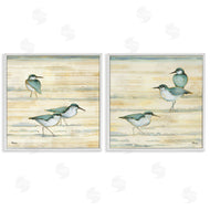 Paul Brent | Sandpipers Abstract Water Shoreline
