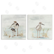Patricia Pinto | Sandpipers Among Beach Grasses