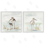 Patricia Pinto | Sandpipers Among Beach Grasses