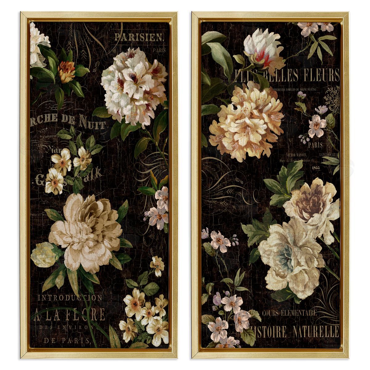 Vintage French Typography Flowers Gold Floating Frame Canvas Wall Art, Home Decor by Deborah Devellier