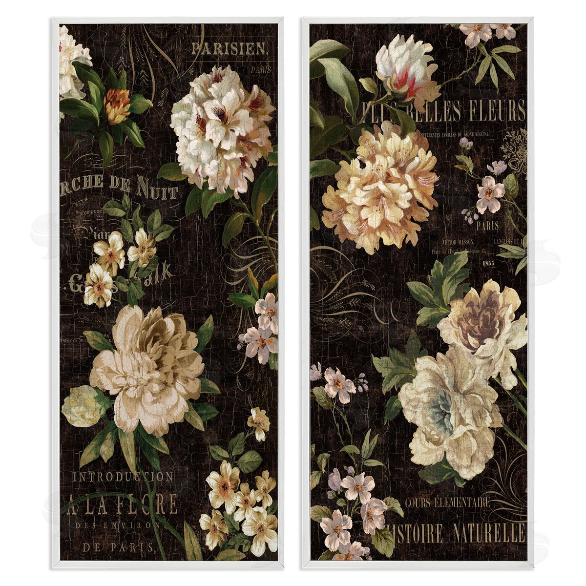 Vintage French Typography Flowers White Frame Print Wall Art, Home Decor by Deborah Devellier