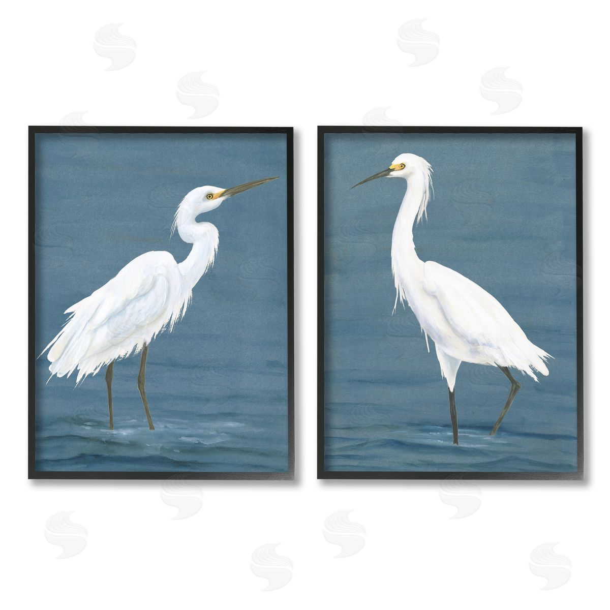 Michael Willett | White Egrets on Shore