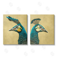 Katie O'Shea | Teal Peacock Portraits