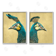 Katie O'Shea | Teal Peacock Portraits