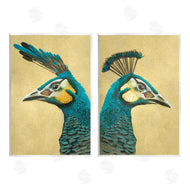 Katie O'Shea | Teal Peacock Portraits