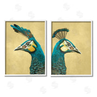 Katie O'Shea | Teal Peacock Portraits
