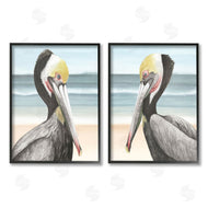 Grace Popp | Pelicans on Beach
