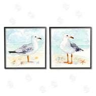 Victoria Barnes | Seagull & Sandpiper Birds