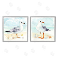 Victoria Barnes | Seagull & Sandpiper Birds