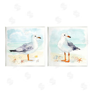 Victoria Barnes | Seagull & Sandpiper Birds