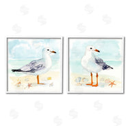Victoria Barnes | Seagull & Sandpiper Birds