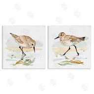 Victoria Barnes | Sea Birds on Shore