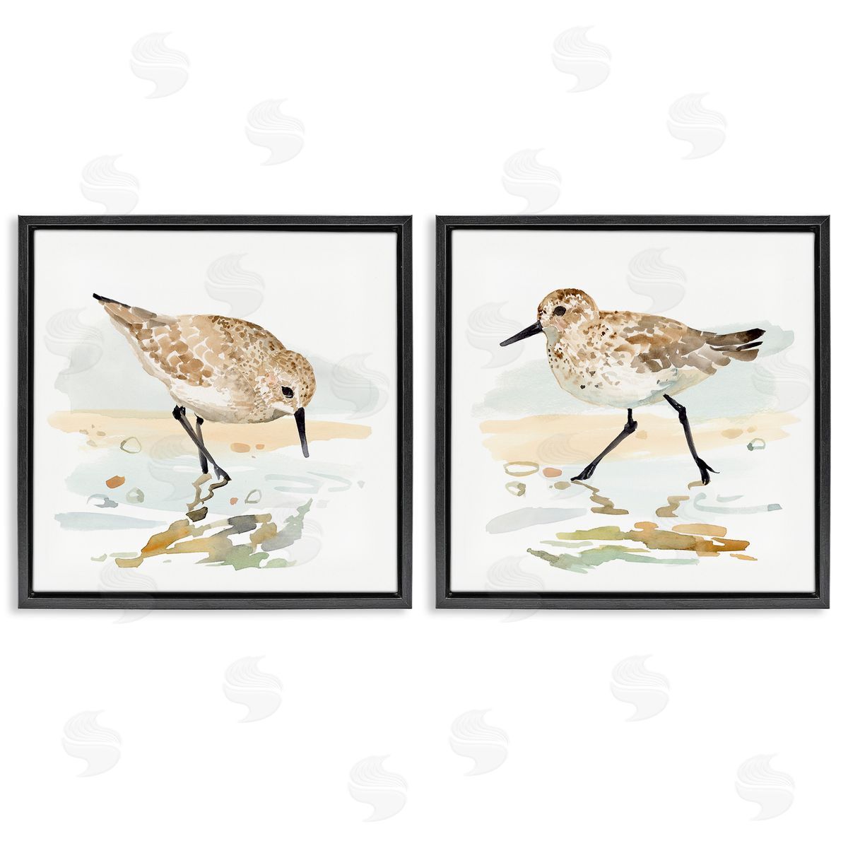 Sea Birds on Shore Black Floating Frame Canvas Wall Art, Home Decor by Victoria Barnes