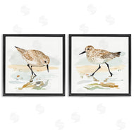 Victoria Barnes | Sea Birds on Shore