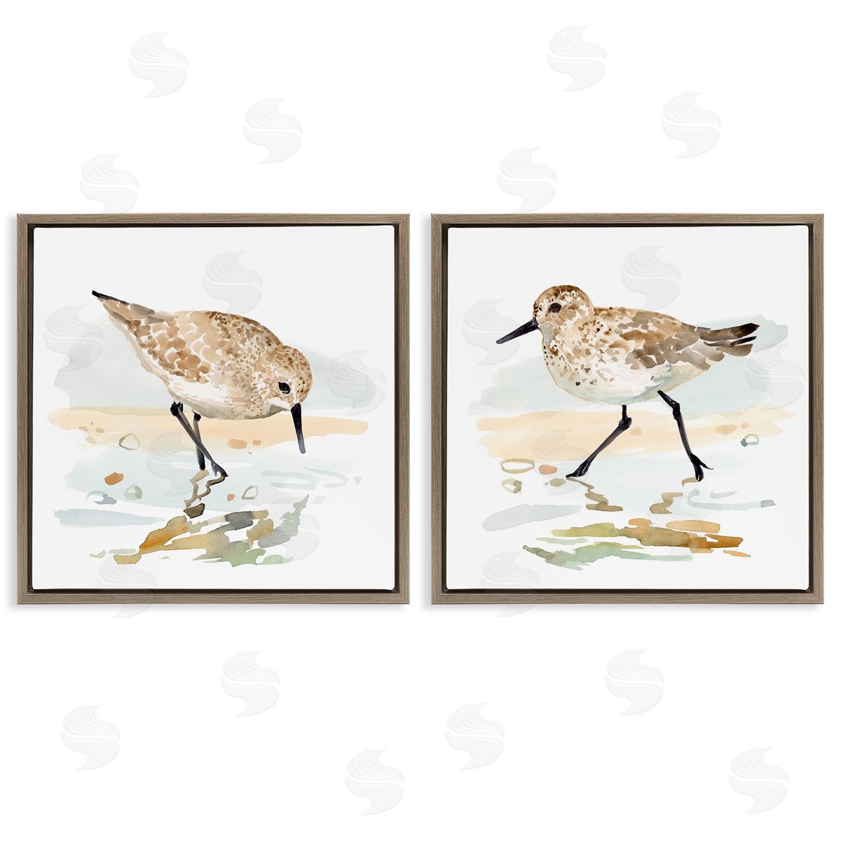 Sea Birds on Shore Brown Floating Frame Canvas Wall Art, Home Decor by Victoria Barnes