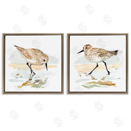 Victoria Barnes | Sea Birds on Shore