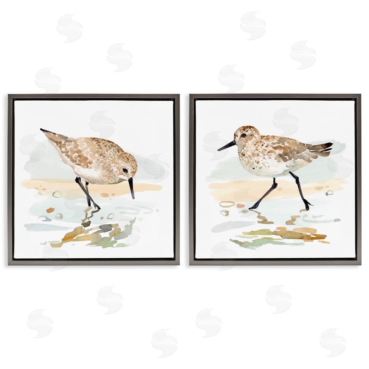 Sea Birds on Shore Grey Floating Frame Canvas Wall Art, Home Decor by Victoria Barnes