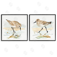 Victoria Barnes | Sea Birds on Shore