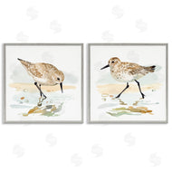 Victoria Barnes | Sea Birds on Shore