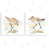 Victoria Barnes | Sea Birds on Shore