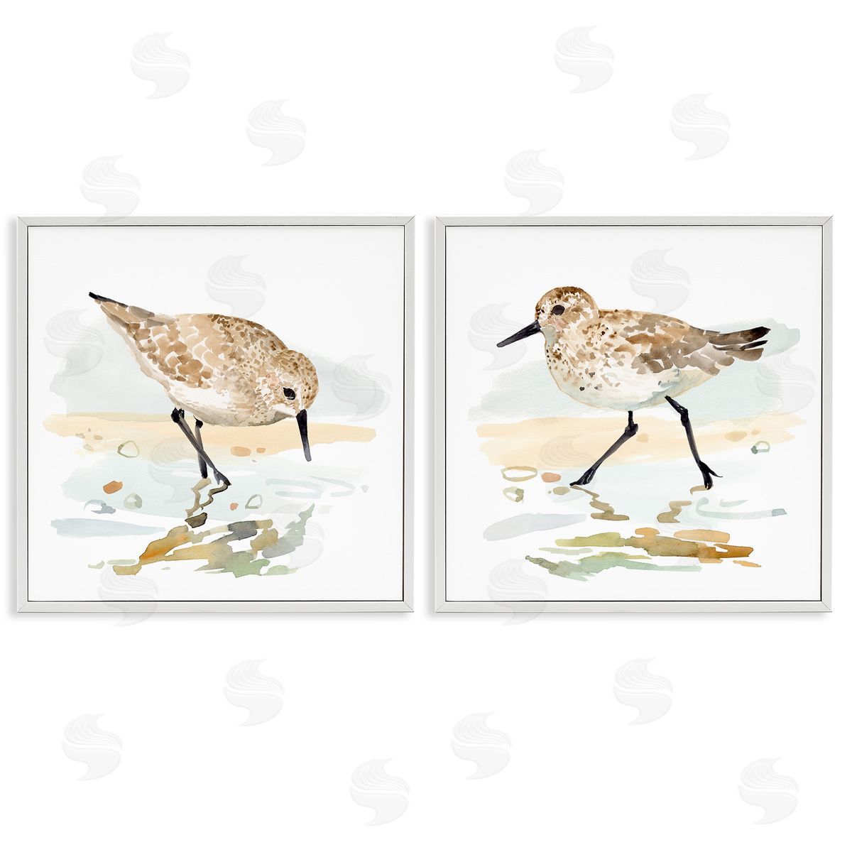 Sea Birds on Shore White Frame Print Wall Art, Home Decor by Victoria Barnes