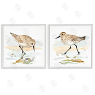 Victoria Barnes | Sea Birds on Shore