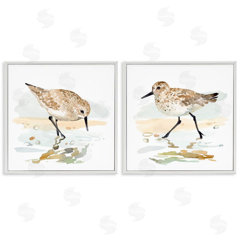 Victoria Barnes | Sea Birds on Shore