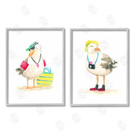 June Erica Vess | Sea Bird Tourists