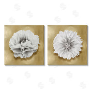 Caroline Kelly | White on Glam Flowers