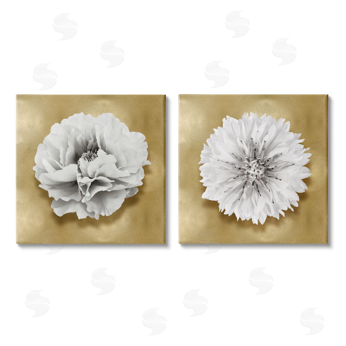 Caroline Kelly | White on Glam Flowers