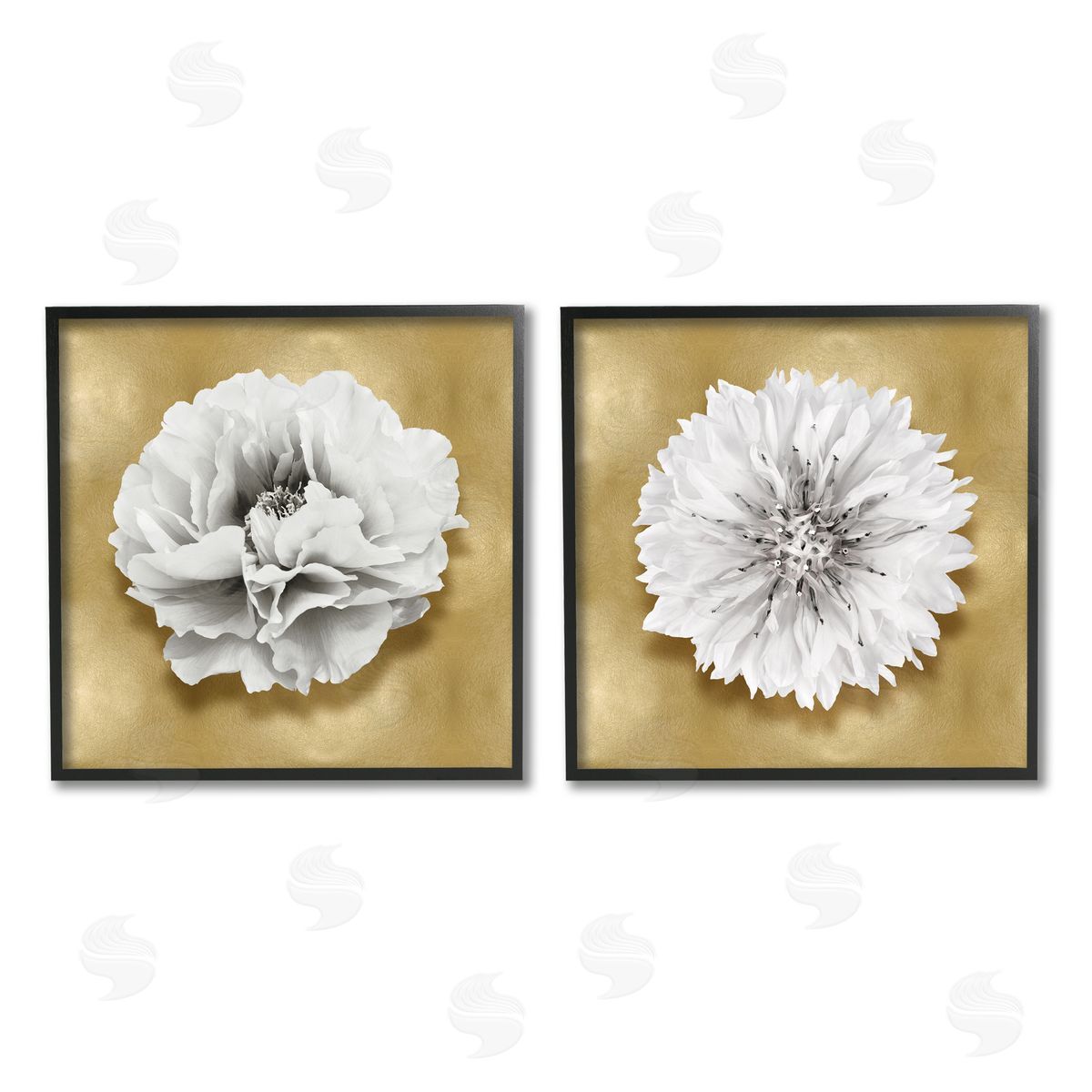 Caroline Kelly | White on Glam Flowers