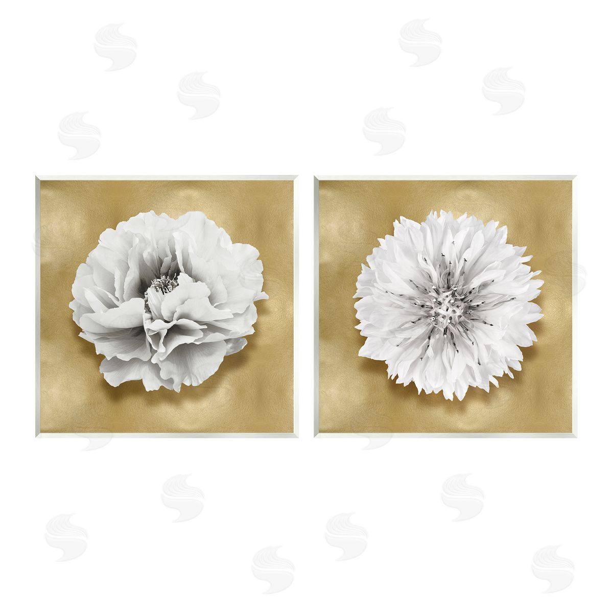 Caroline Kelly | White on Glam Flowers