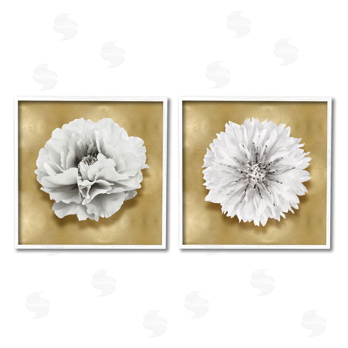 Caroline Kelly | White on Glam Flowers