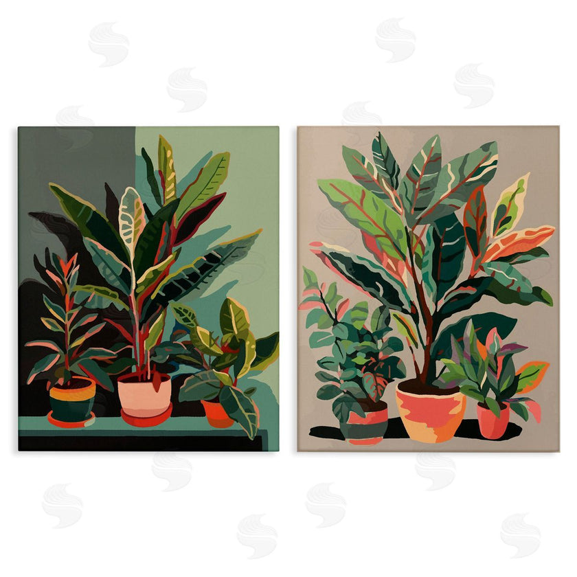 Ziwei Li | Various House Plants