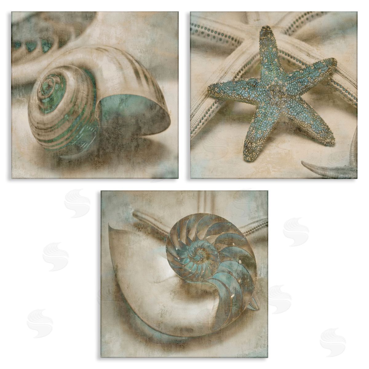 Starfish & Sea Shells Distressed Canvas Wall Art, Home Decor by John Seba