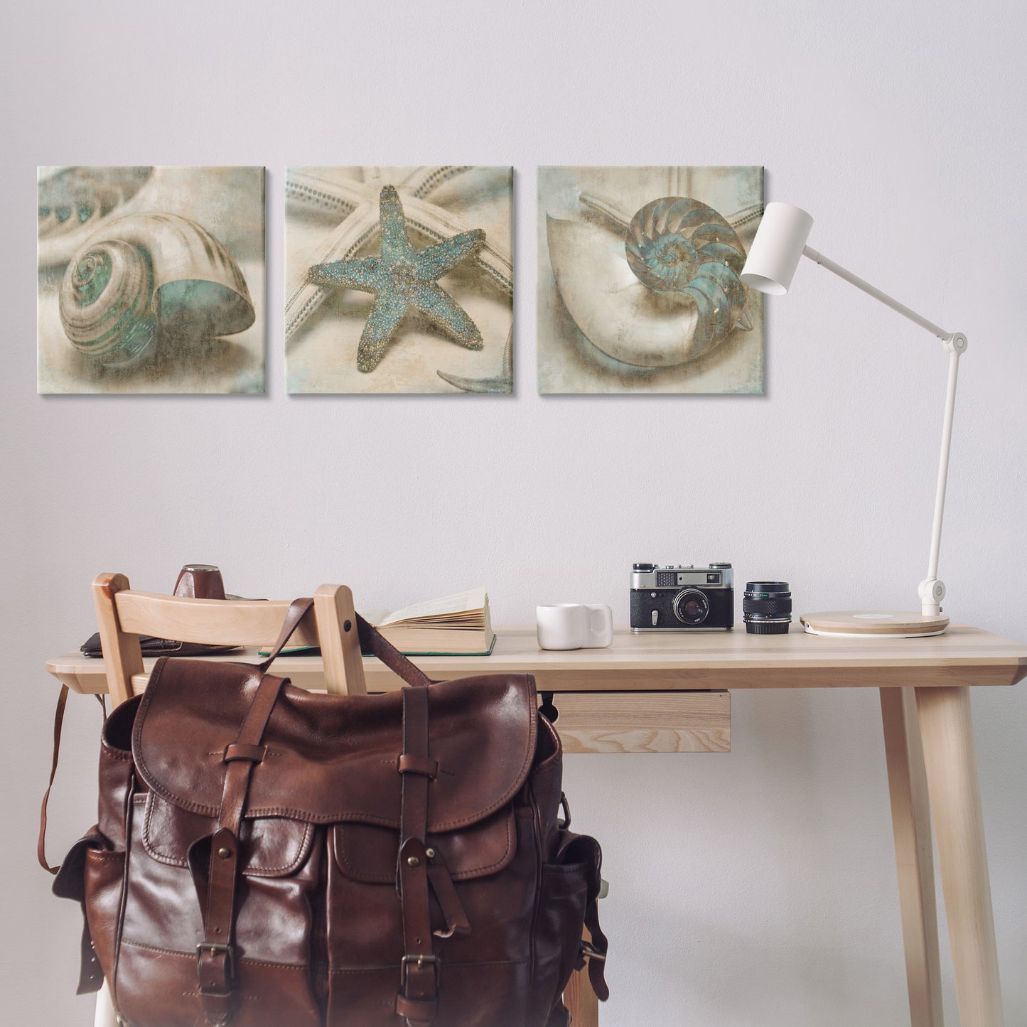 Starfish & Sea Shells Distressed Canvas Wall Art in Room, Home Decor by John Seba