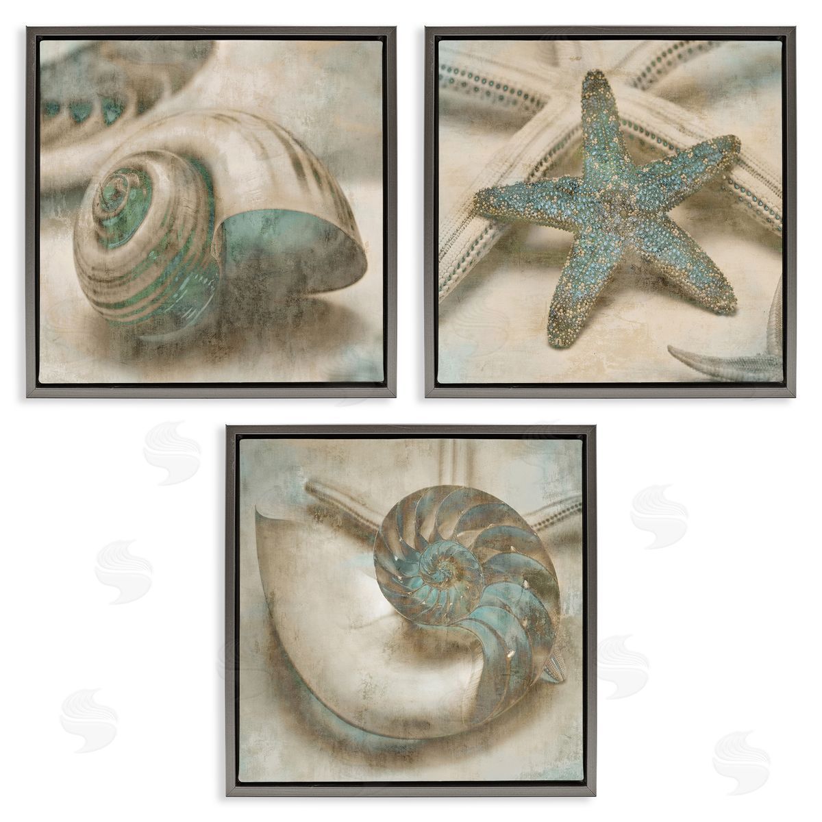 Starfish & Sea Shells Distressed Grey Floating Frame Canvas Wall Art, Home Decor by John Seba