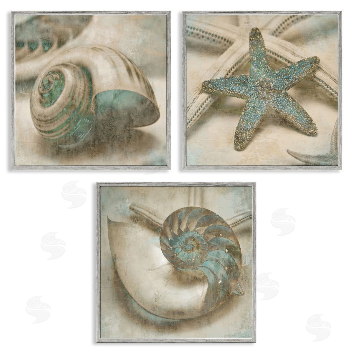 Starfish & Sea Shells Distressed Grey Frame Print Wall Art, Home Decor by John Seba