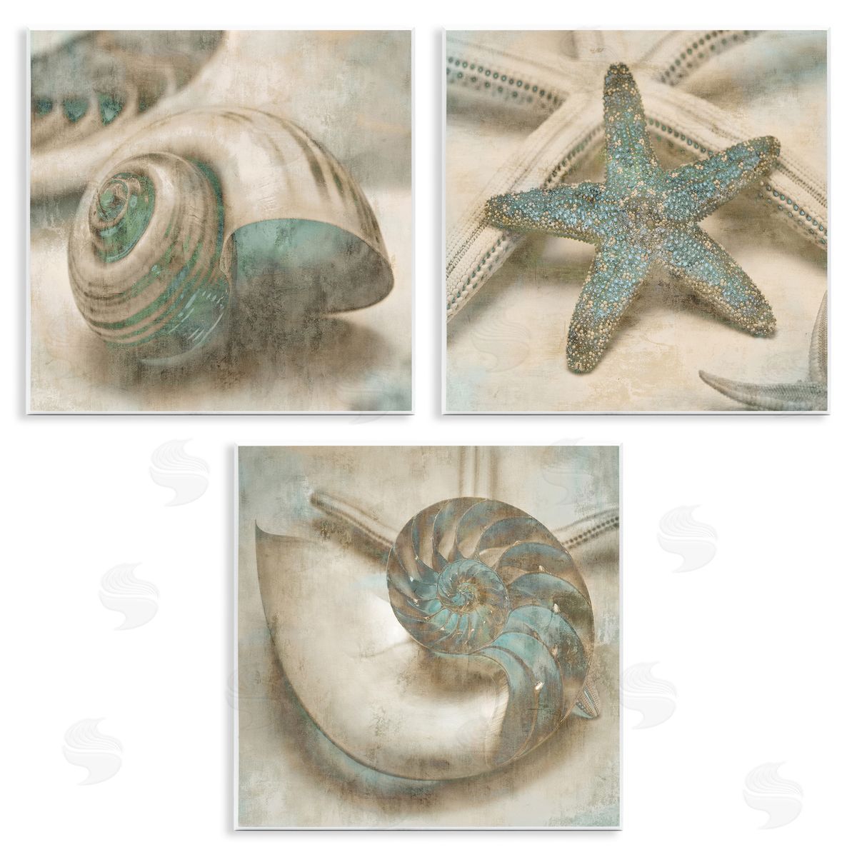 Starfish & Sea Shells Distressed Wood Plaque Wall Art, Home Decor by John Seba