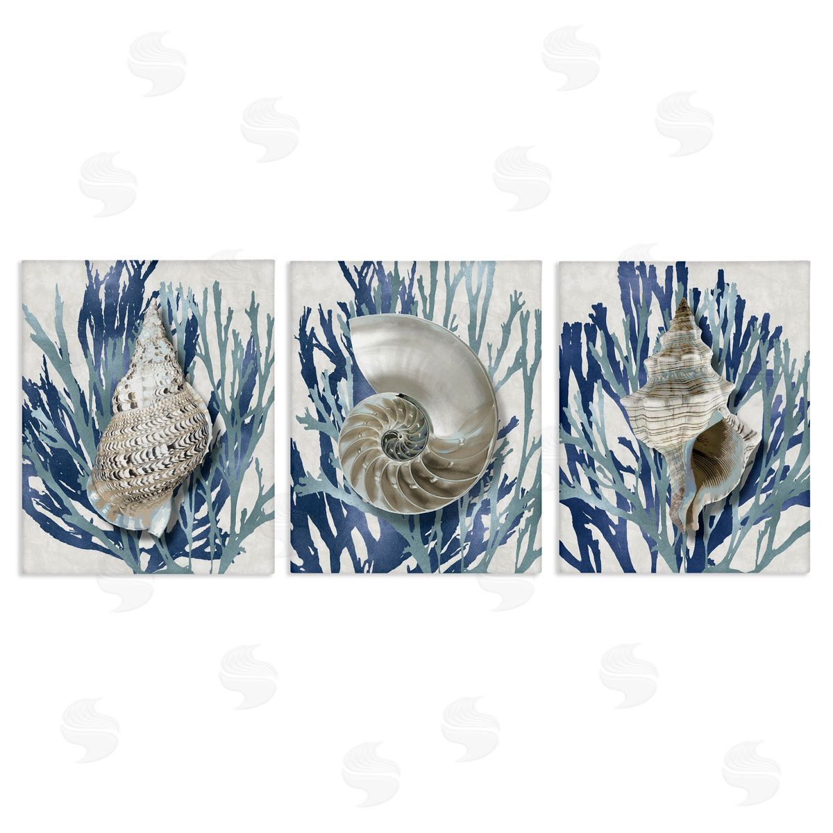 Trio of Shells & Coral Canvas Wall Art, Home Decor by Caroline Kelly