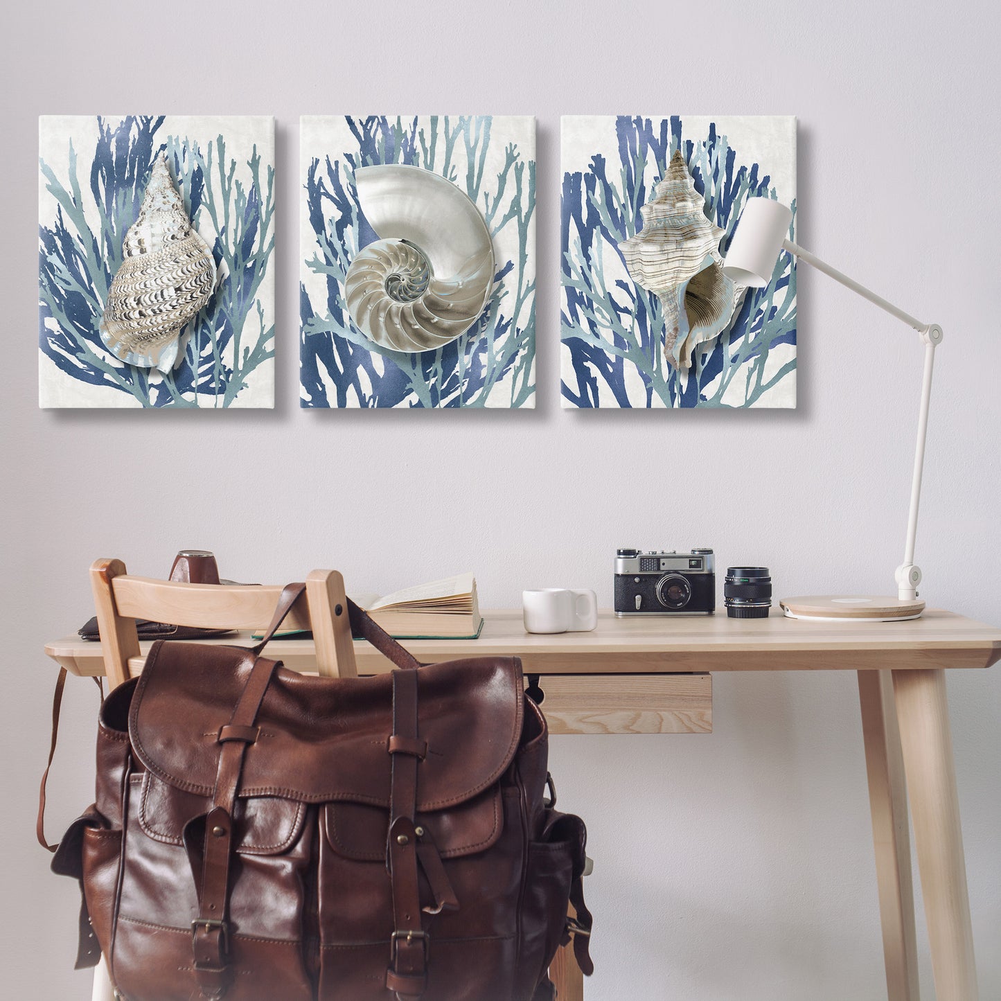 Trio of Shells & Coral Canvas Wall Art in Room, Home Decor by Caroline Kelly