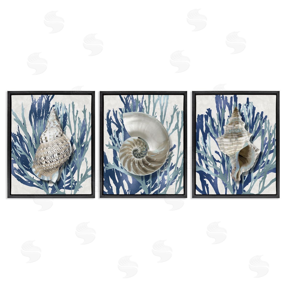Trio of Shells & Coral Black Floating Frame Canvas Wall Art, Home Decor by Caroline Kelly