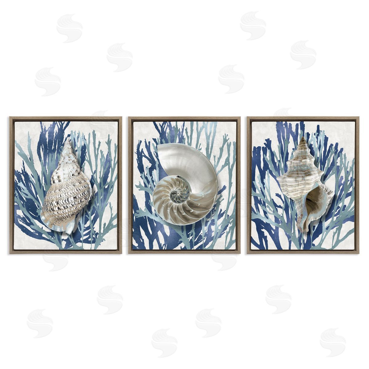 Trio of Shells & Coral Brown Floating Frame Canvas Wall Art, Home Decor by Caroline Kelly