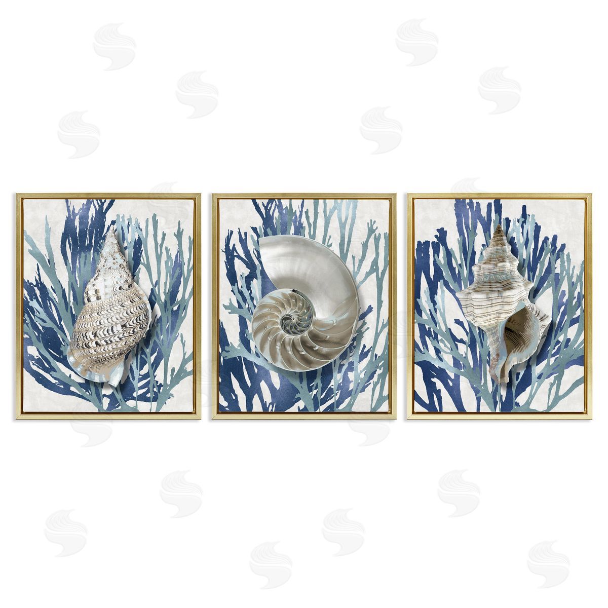 Trio of Shells & Coral Gold Floating Frame Canvas Wall Art, Home Decor by Caroline Kelly