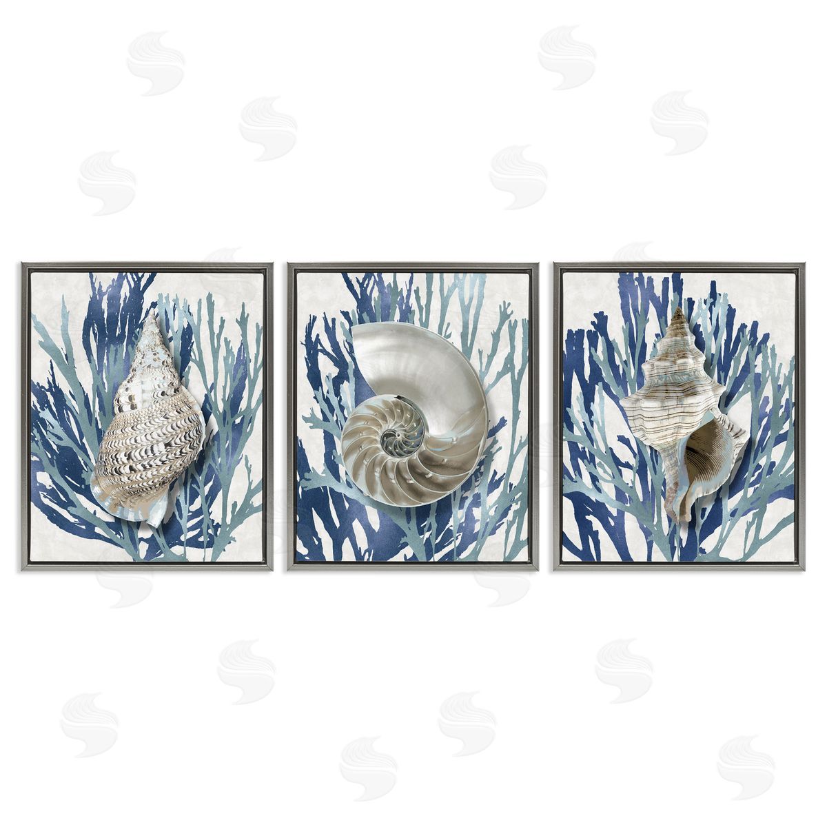 Trio of Shells & Coral Grey Floating Frame Canvas Wall Art, Home Decor by Caroline Kelly