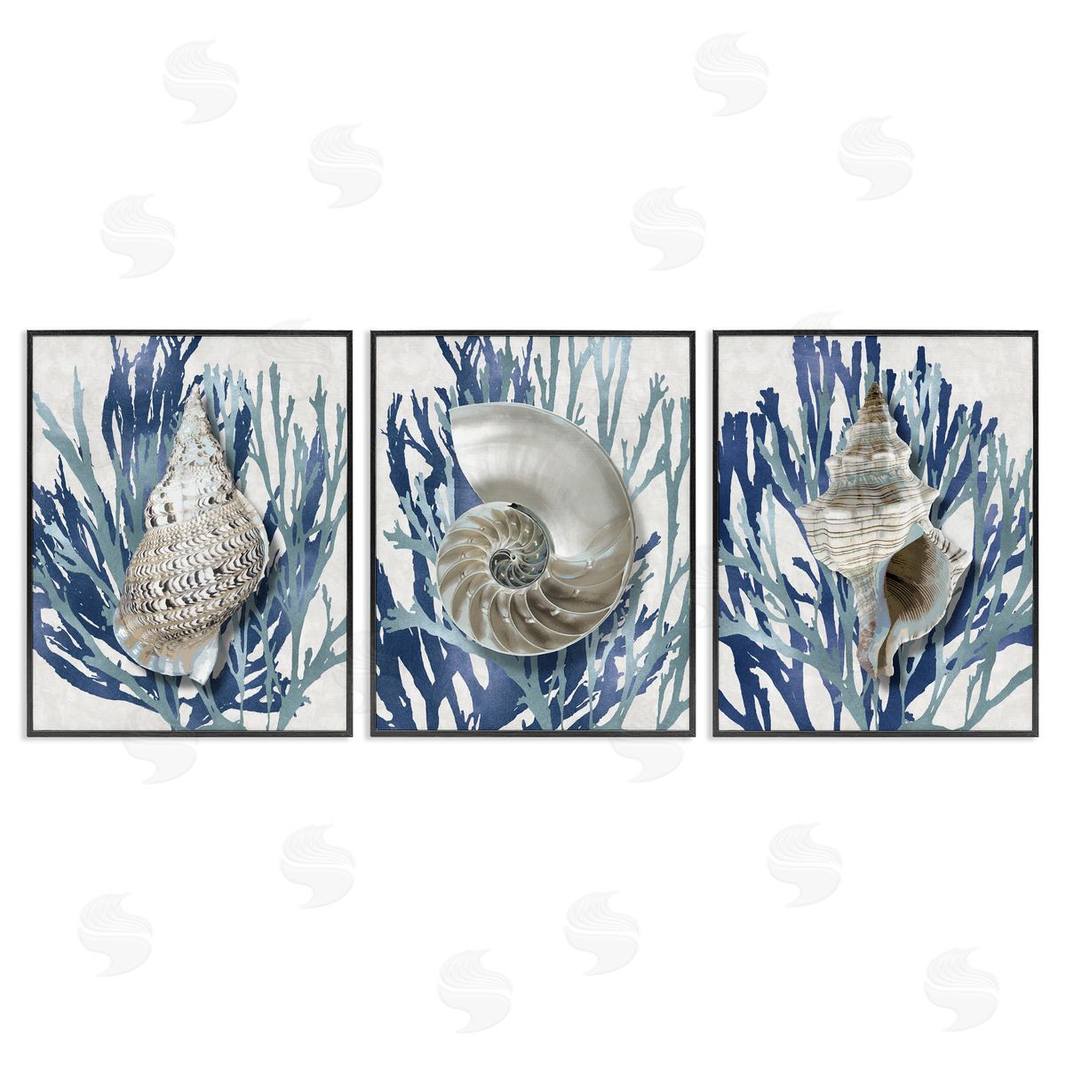 Trio of Shells & Coral Black Frame Print Wall Art, Home Decor by Caroline Kelly