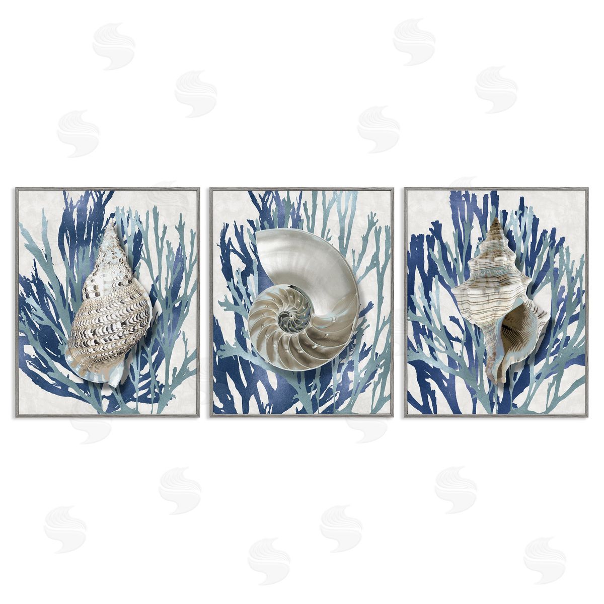 Trio of Shells & Coral Grey Frame Print Wall Art, Home Decor by Caroline Kelly