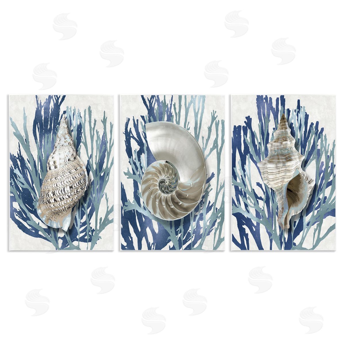 Trio of Shells & Coral Wood Plaque Wall Art, Home Decor by Caroline Kelly